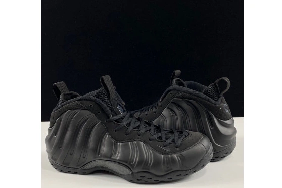 Nike Foamposite One Air 314996-001 Anthracite 1005